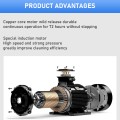 Máy Rửa Xe Cao Áp 200Br – Giải Pháp Tối Ưu Cho Việc Vệ Sinh