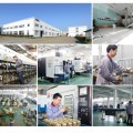Máy Rửa Xe 3000W- Công Cụ Làm Sạch Hiệu Quả Cho Mọi Gia Đình & Cửa Hàng